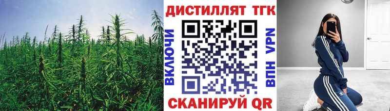 ТГК Wax  ОМГ ОМГ tor  Махачкала 