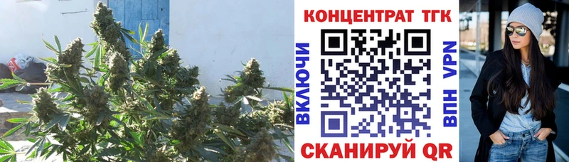 ТГК THC oil Махачкала
