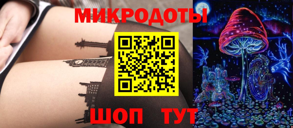 Галлюциногенные грибы Cubensis  Махачкала 