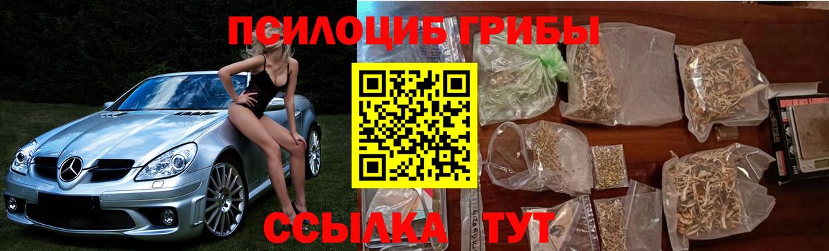 Псилоцибиновые грибы Cubensis  Вход с VPN  Махачкала 