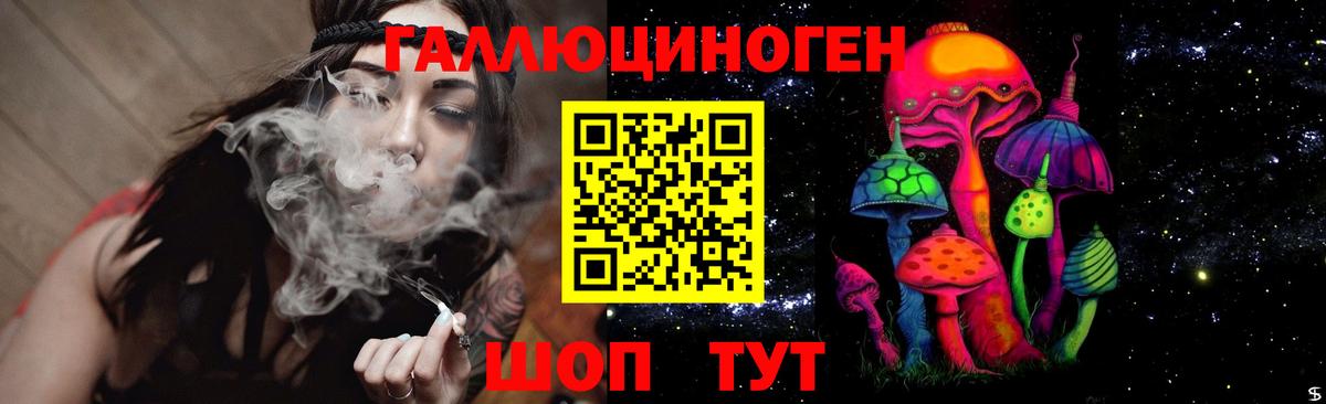 Псилоцибиновые грибы Psilocybe Махачкала