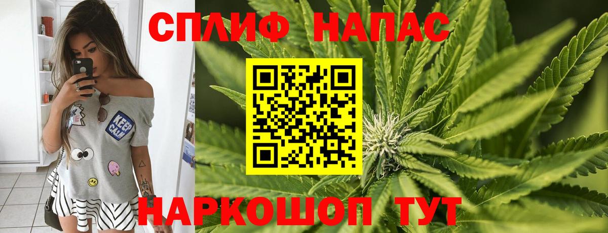 Конопля конопля Махачкала